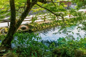 竹中池と筒羽野疎水：そうめん流しやプールで有名な湧水と水辺の風景【湧水町】