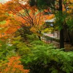 冠岳の紅葉を見に行ったら和の雰囲気満載で最高だった【いちき串木野市】