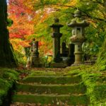 道隆寺跡の紅葉をもっと知ってほしい!って話【肝付町】