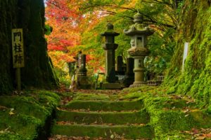 道隆寺跡の紅葉をもっと知ってほしい！って話【肝付町】
