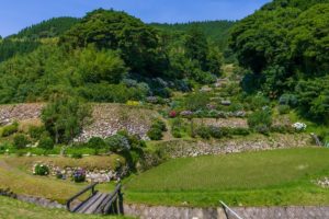 草見の棚田の石垣と紫陽花を眺めに【日置市日吉町】