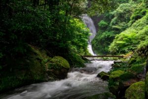 【薩摩川内市樋脇町】藤本の滝:八重山の水が集まる薩摩川内市の景観重要資産