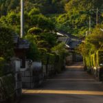 日本遺産 蒲生麓の風景と日本一の巨樹を訪ねて