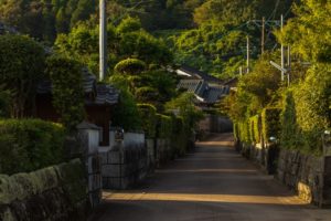 日本遺産 蒲生麓の風景と日本一の巨樹を訪ねて