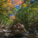 伊佐市大口の布計地区へ紅葉探し