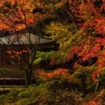 冠岳2020年の紅葉はお堂の周囲がやはり美しかった
