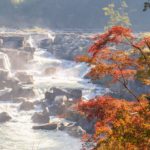 曽木の滝の紅葉2020年は今が旬！11月末じゃ遅い！かも…【伊佐市大口】