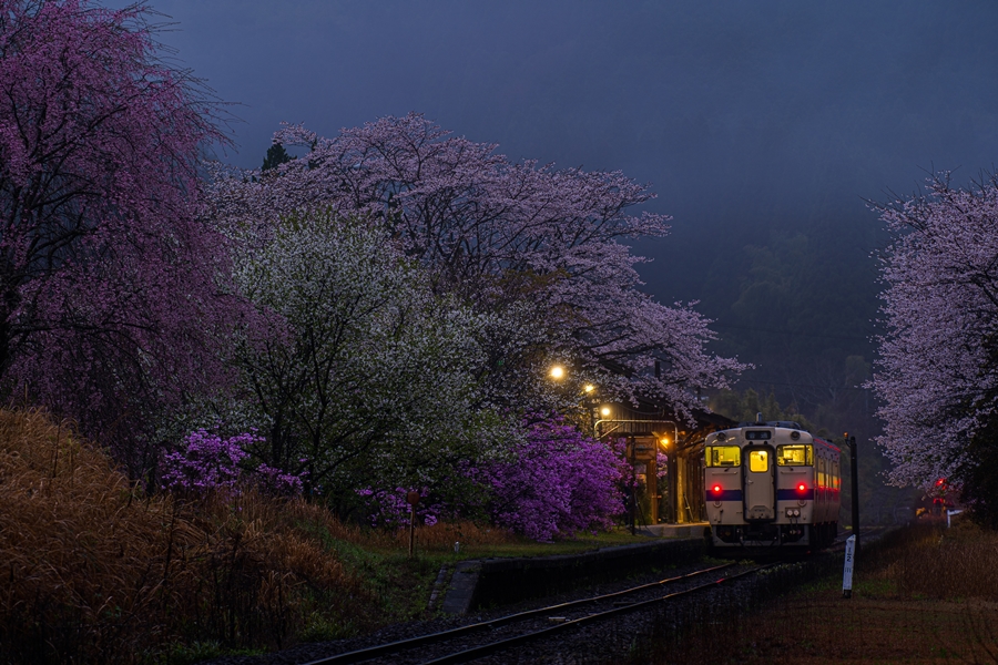 JR嘉例川駅の桜は天気に恵まれなくても美しい！