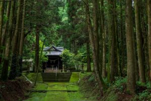 中津野南方神社：苔むした境内と今も残る並立鳥居