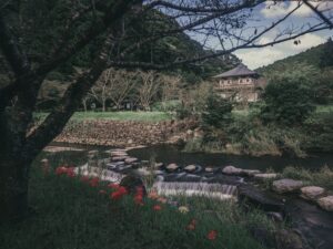 岩屋公園の彼岸花を見に行ってきた