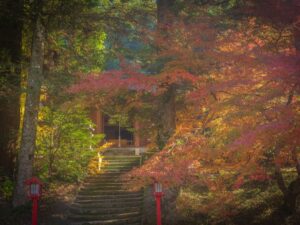 斧渕の諏訪神社の紅葉2025