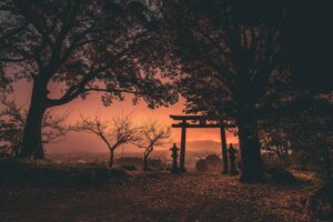 鹿児島県内に存在する場所を公開できない紅葉スポット