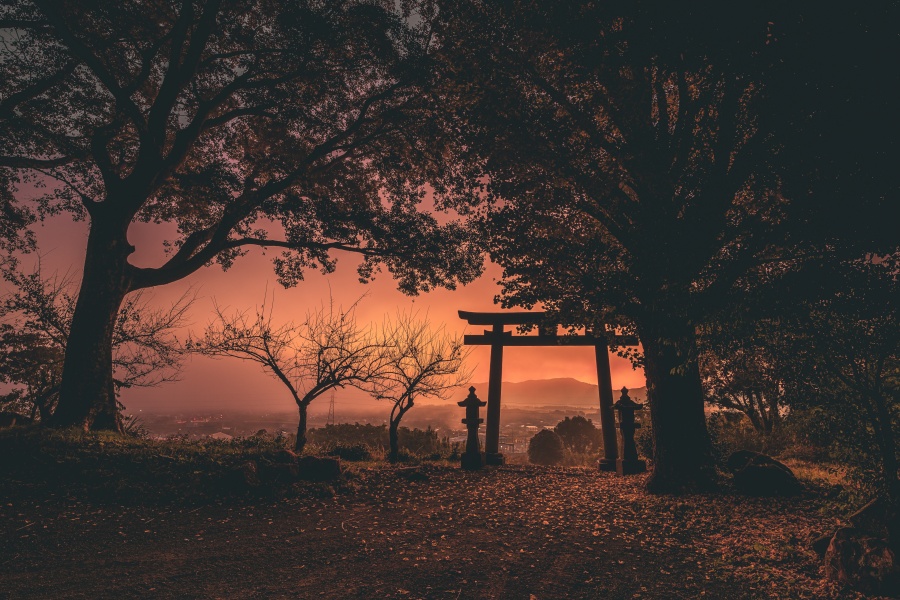 鹿児島県内に存在する場所を公開できない紅葉スポット