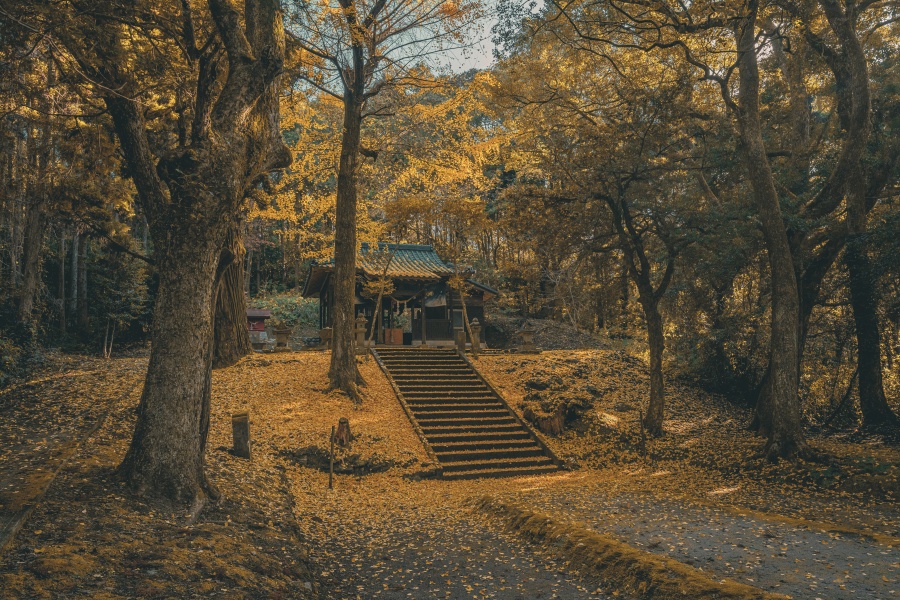 日置市吹上町にある伊作南方神社の紅葉2025