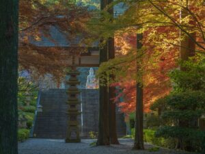 指宿市にある青隆寺の紅葉2025