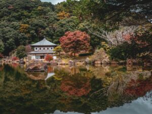 南九州市川辺町にある岩屋公園の紅葉2025