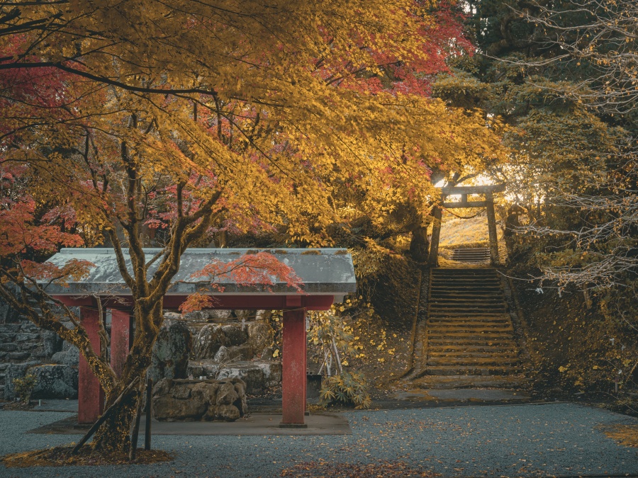 大野岳神社の紅葉2025