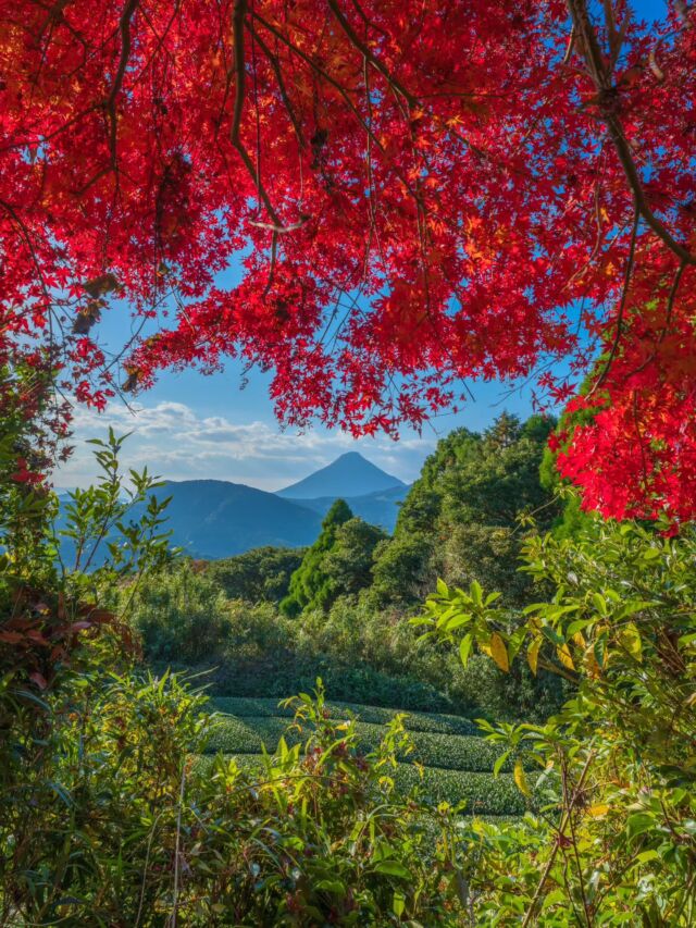 渓谷 | 鹿児島よかもん再発見！観光・グルメ・旅・地元民による穴場